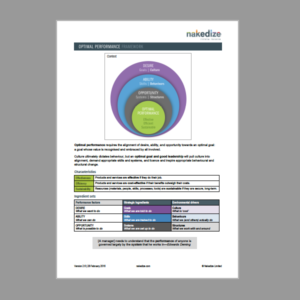 Nakedize Optimal Performance Framework PDF